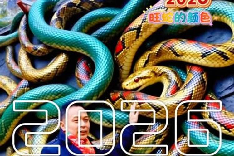 属蛇人2026你哪运程？