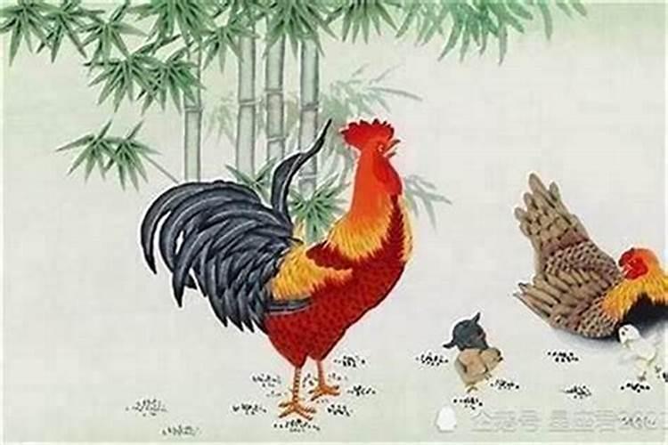 属鸡的犯太岁躲着什么属？