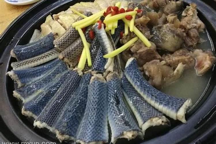 梦见吃蛇肉是什么意思呢周公解梦？