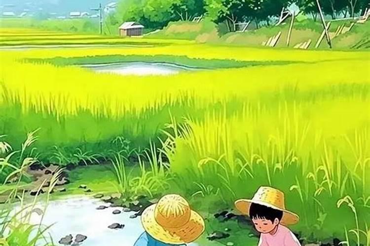 梦见很多场景都是小时候的？