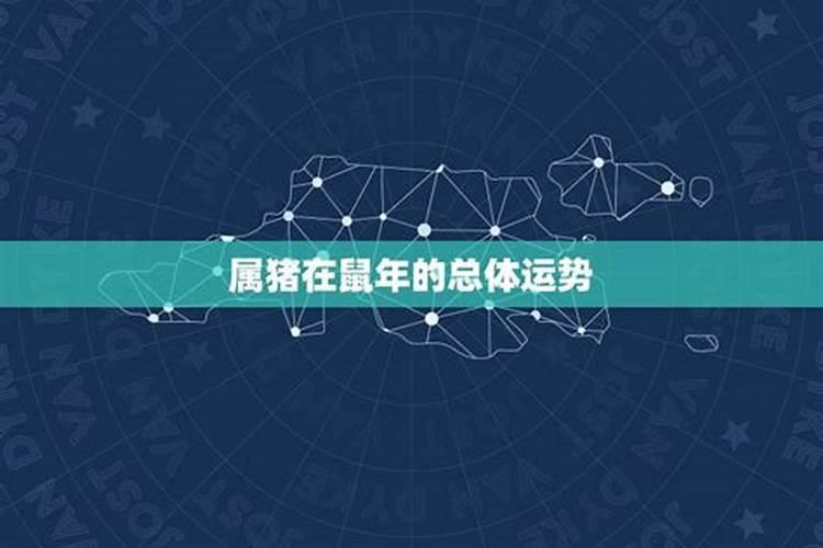 鼠年属猪的运势怎么样？