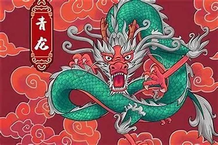 属龙5月生人2026年的运程