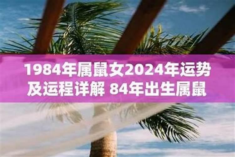 2026年1984年属鼠运程如何？