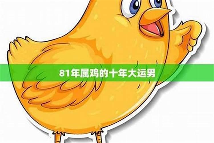 81的鸡今年运势如何？