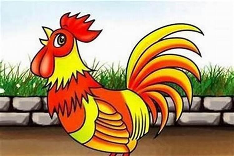 女属鸡和男属猪合婚吗？