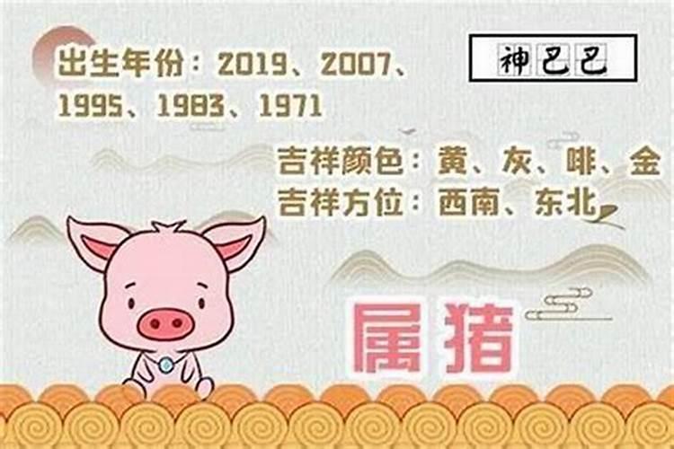 新力属猪十一月份运程如何？