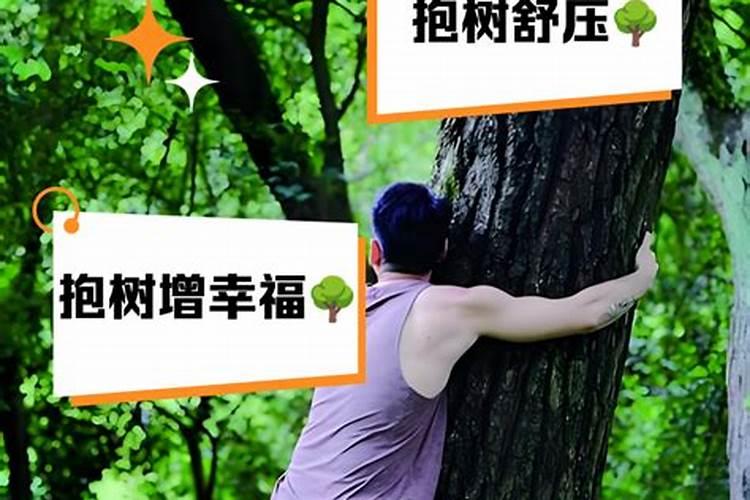 婚姻不顺怎么抱大树？