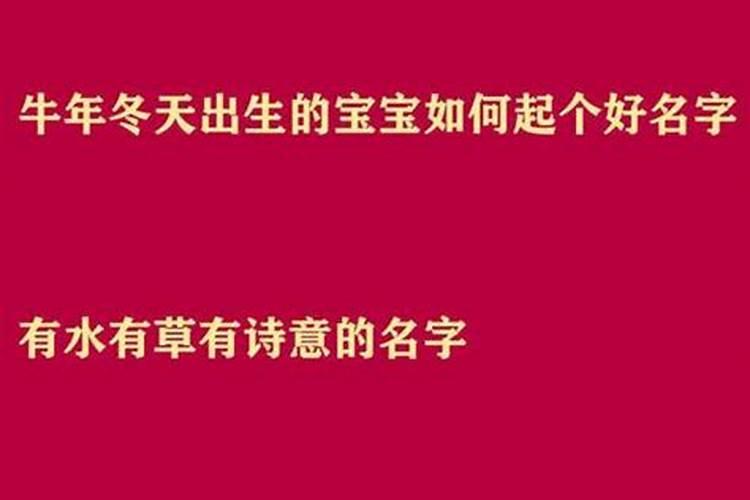 立秋后出生的牛年男孩名