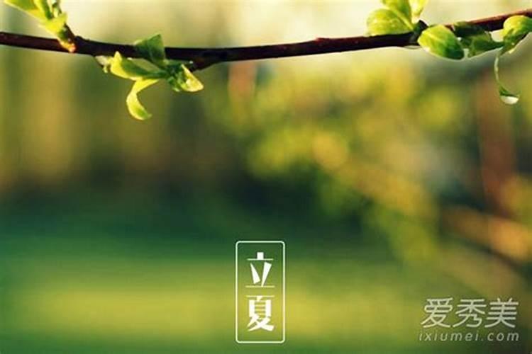 立夏和夏至有哪些区别？
