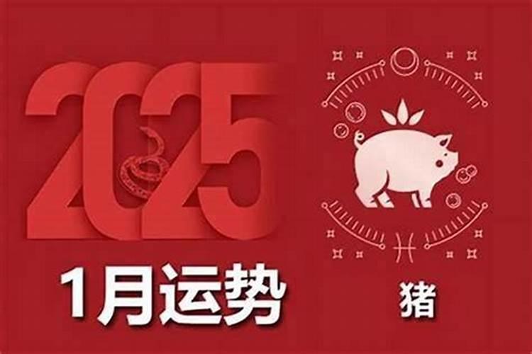 2026属猪运程如何？