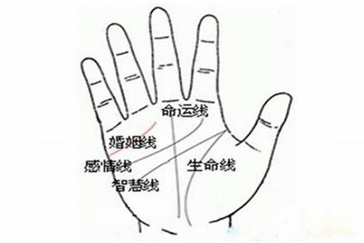 命运线怎么看？