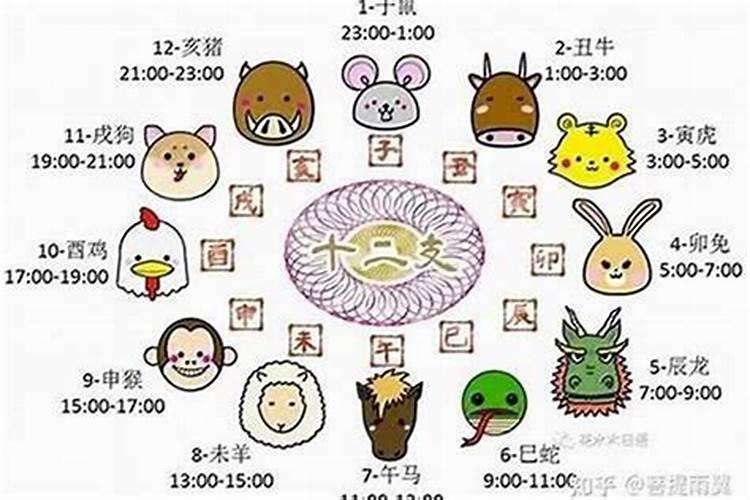 买车需要看生辰八字吗？