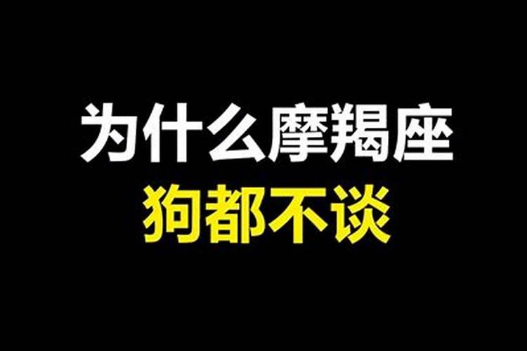 摩羯座为什么狗都不理？