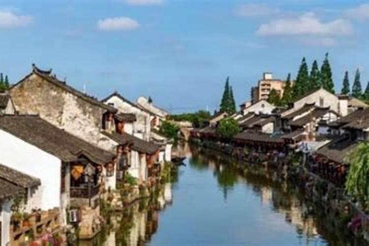 上海清明节去哪里玩？