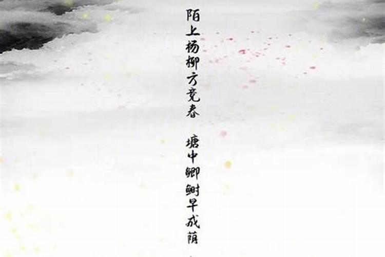 冬至节气出生的狗好不好？