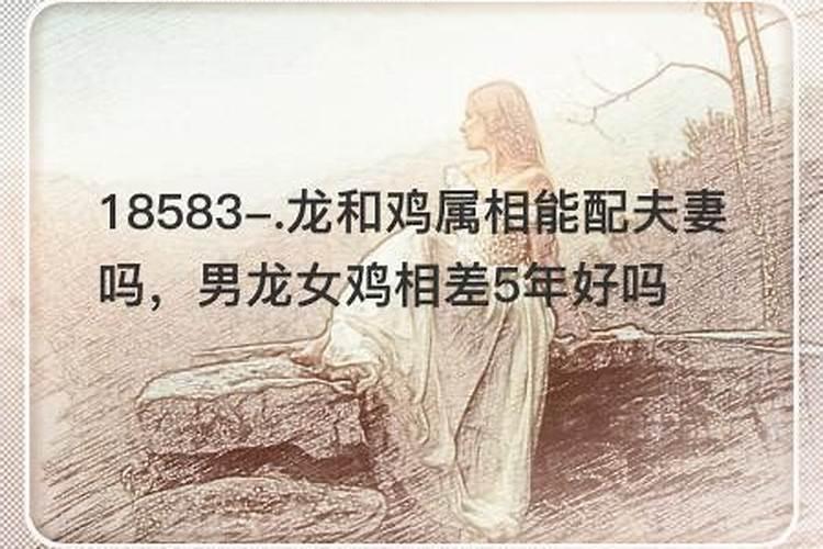 算命婚姻小龙配鸡好吗？