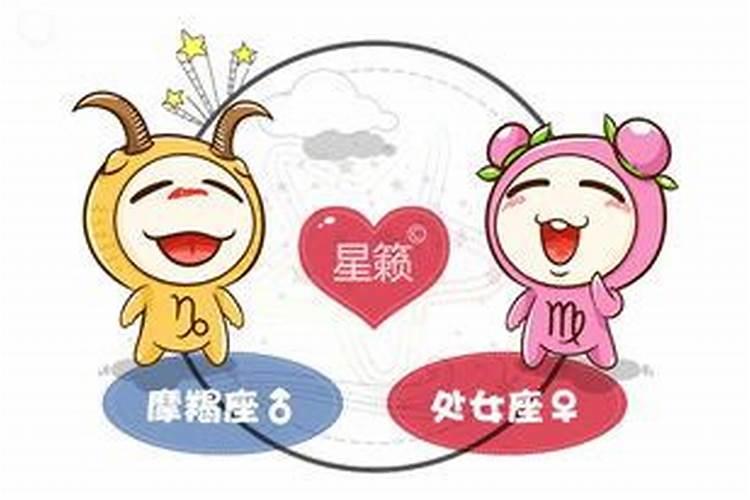 摩羯座和处女座合婚吗？