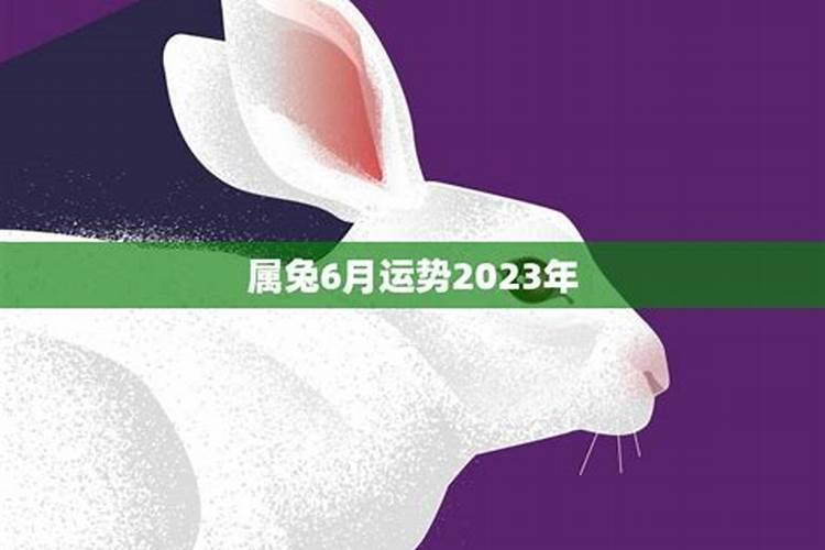 属兔人6月运势运程如何？