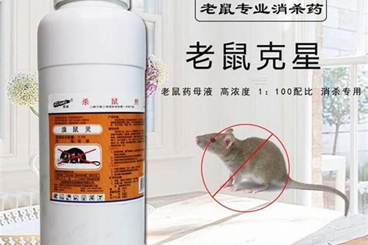 梦见给老鼠喷灭害灵