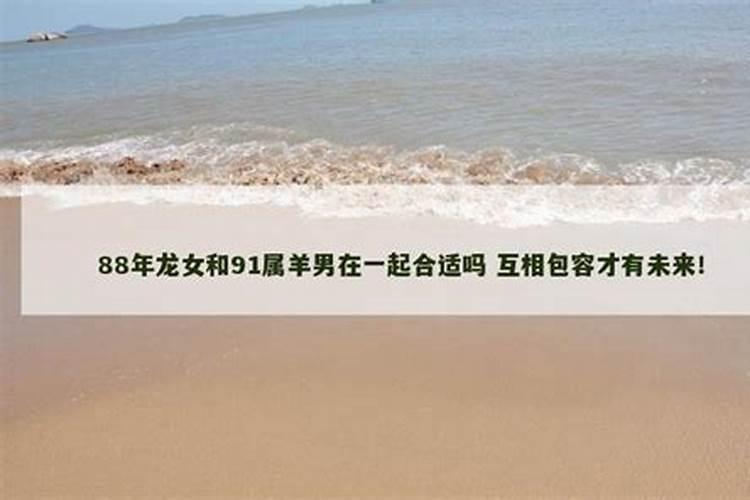 男88龙女91羊合婚吗？
