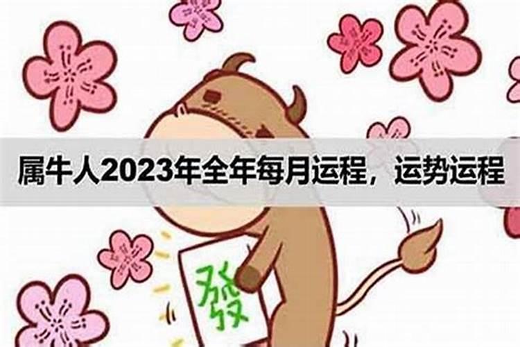 卜易属牛人2026年运程