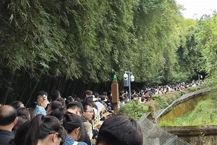 清明节成都哪里耍？