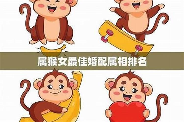 属相婚配测试猴与猴