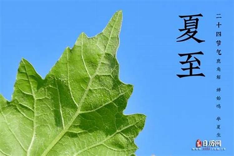 今年几月几时夏至？
