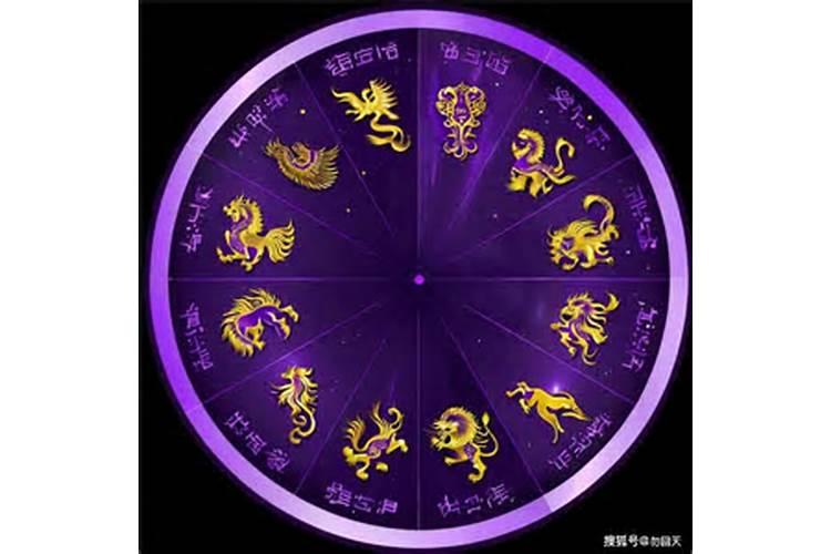 人生包括哪些运势？