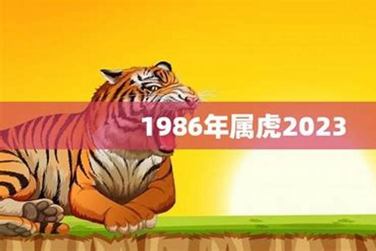 1986今年本命年虎年运势如何？