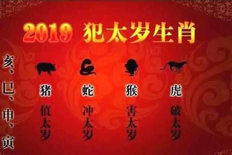 属蛇人都哪年冲太岁？
