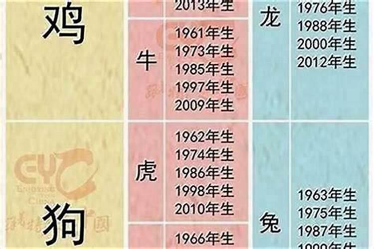 羊和猪八字合吗？