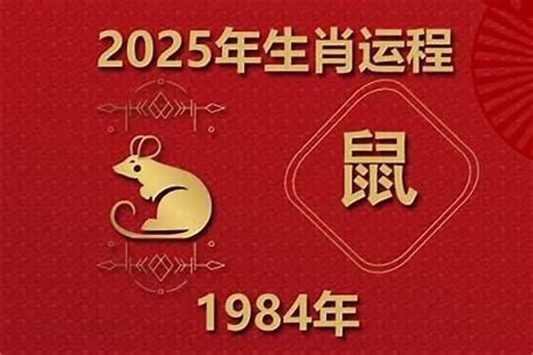 1984年鼠在2026年运程