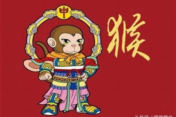 属猴的今年下半年运运程
