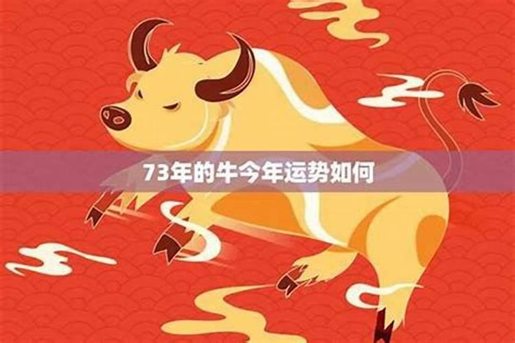 73年2月19出生牛男运势