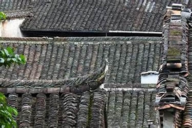 梦见老家房子漏水什么意思？
