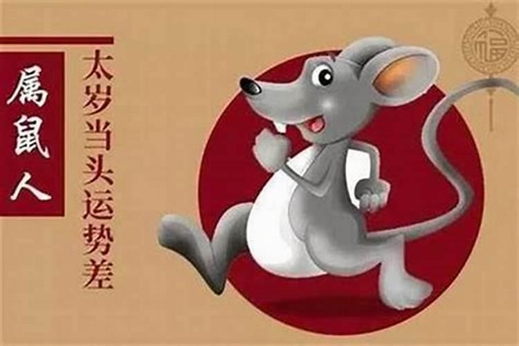 属虎与属鼠八字合吗？