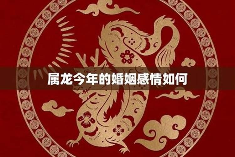属龙今年感情运势