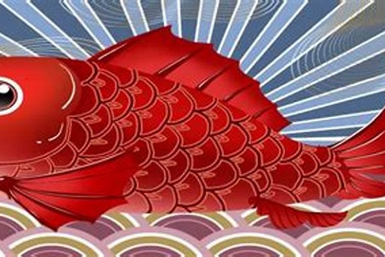 梦见大红色鲤鱼是什么意思？