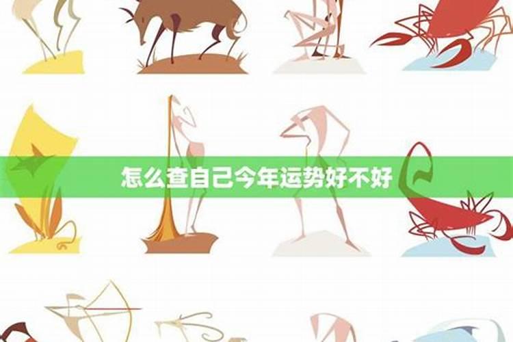 今年我的运势怎么不好呢？