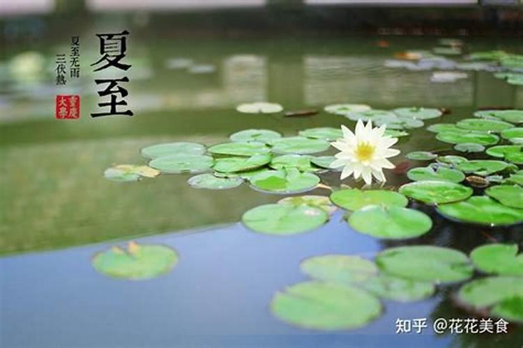 夏至出生阳气