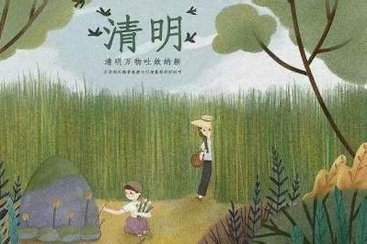 本命年可以去墓地扫墓吗？