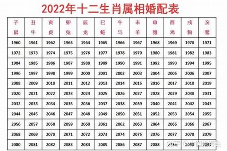 十二生肖婚配表