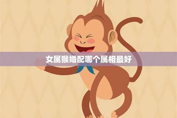 猴子跟哪个属相婚配？