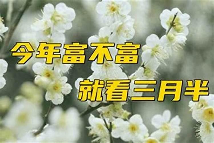 三月十五财神节禁忌