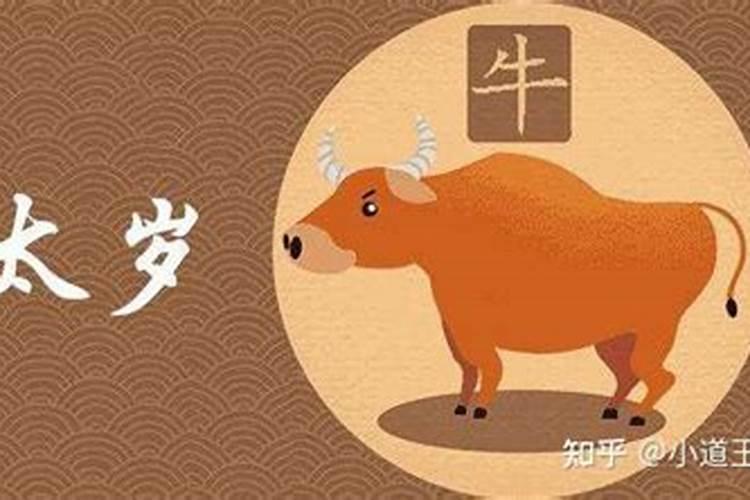 属牛的怎样化解太岁？