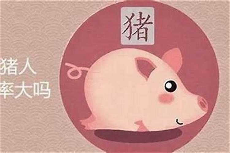 属猪人今年尾运程