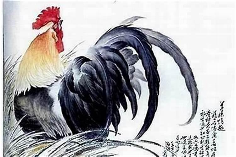 暑鸡和暑龙八字合吗？