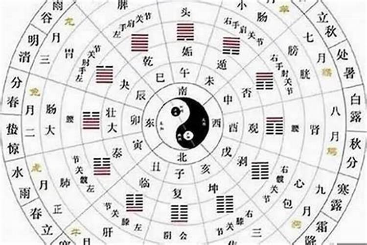 八字合婚看哪一柱还是哪柱？