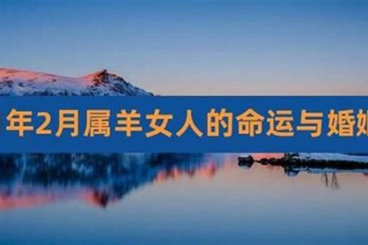1991属羊一生运程
